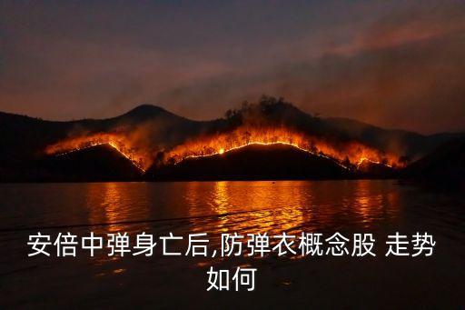 安倍中彈身亡后,防彈衣概念股 走勢如何