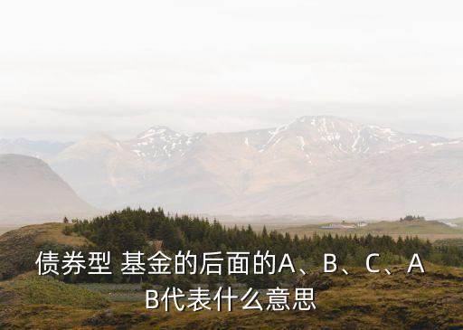 債券型 基金的后面的A、B、C、AB代表什么意思