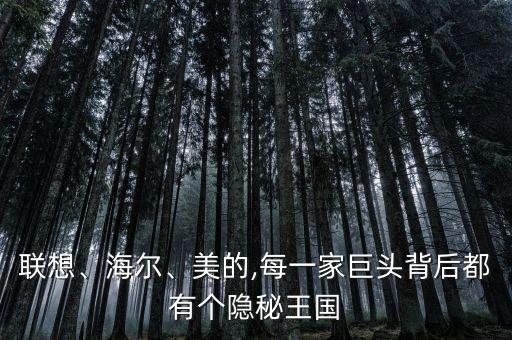 聯(lián)想、海爾、美的,每一家巨頭背后都有個(gè)隱秘王國(guó)