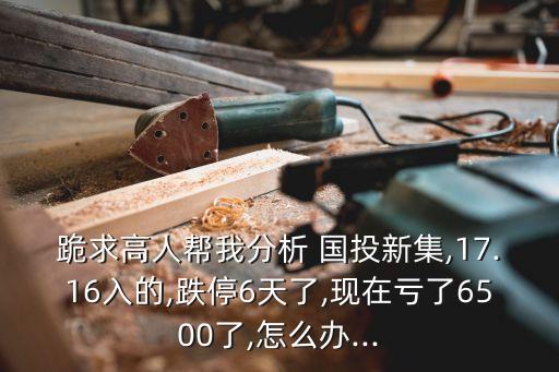 中國國投電力股票復(fù)牌
