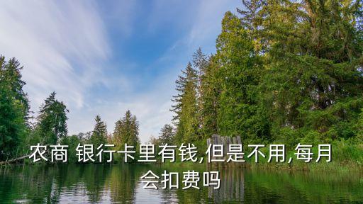 農商 銀行卡里有錢,但是不用,每月會扣費嗎