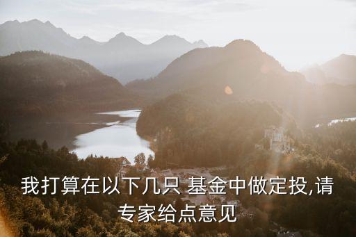 我打算在以下幾只 基金中做定投,請(qǐng)專家給點(diǎn)意見