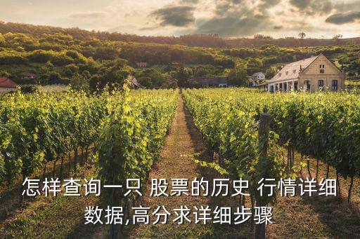 怎樣查詢一只 股票的歷史 行情詳細數據,高分求詳細步驟