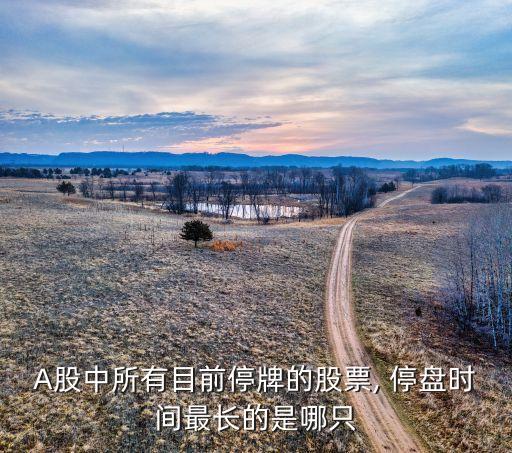 A股中所有目前停牌的股票, 停盤時間最長的是哪只