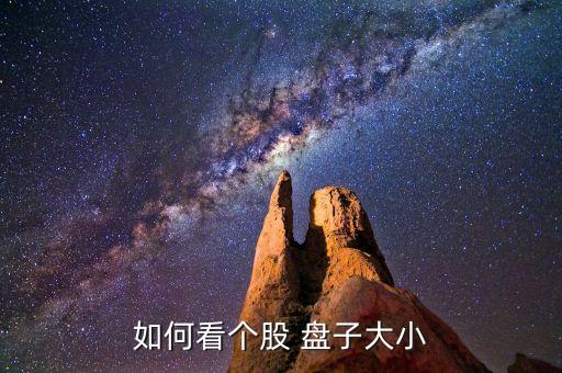 如何看個股 盤子大小