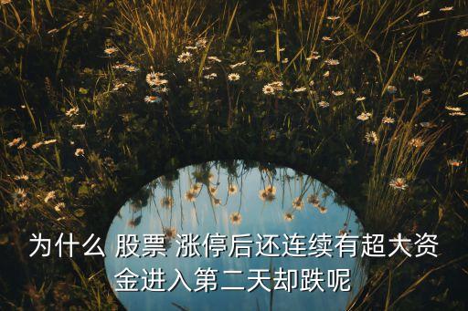 為什么 股票 漲停后還連續(xù)有超大資金進(jìn)入第二天卻跌呢