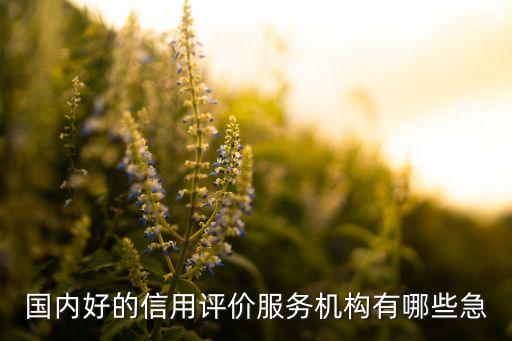 國內(nèi)好的信用評價服務(wù)機(jī)構(gòu)有哪些急