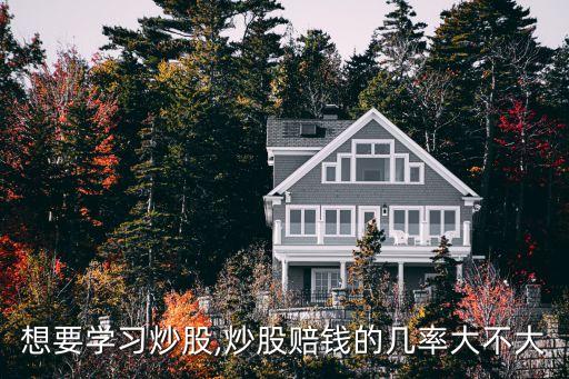 想要學習炒股,炒股賠錢的幾率大不大