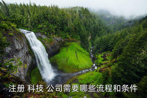 科技公司設(shè)立,中國(guó)科技公司100強(qiáng)