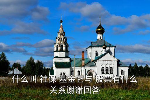 全國社?；鹜顿Y的股票,社?；?023年投資的股票