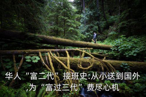 白手起家的中國人