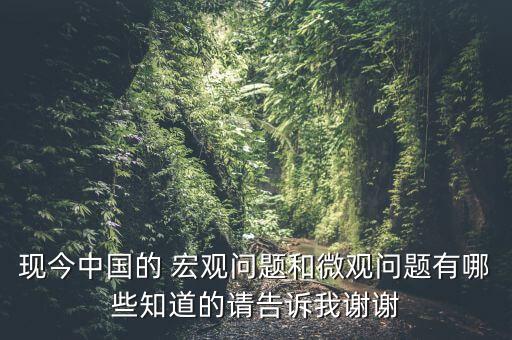 中國(guó)宏觀