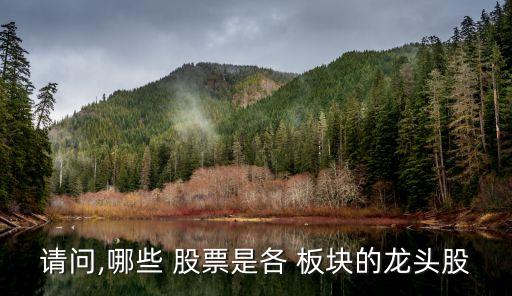 請(qǐng)問,哪些 股票是各 板塊的龍頭股