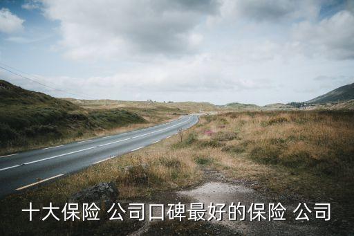 車(chē)險(xiǎn)公司排名前十,中國(guó)保險(xiǎn)車(chē)險(xiǎn)公司排名前十