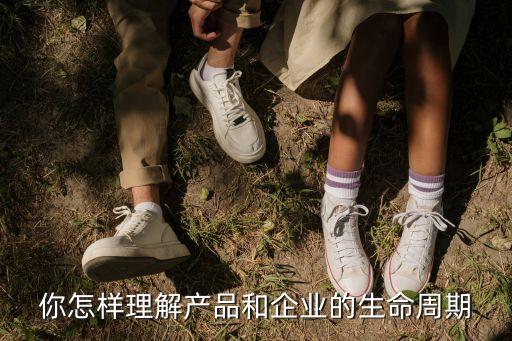 你怎樣理解產品和企業(yè)的生命周期