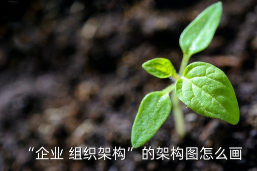 “企業(yè) 組織架構(gòu)”的架構(gòu)圖怎么畫(huà)