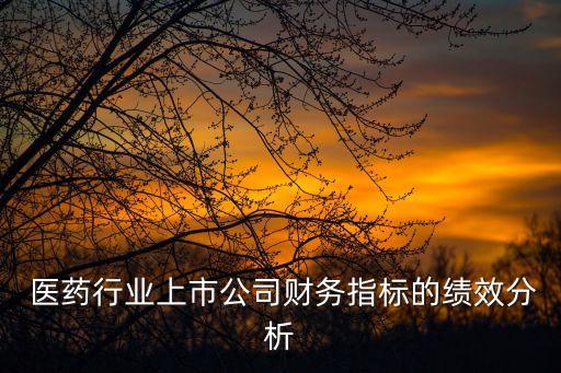  醫(yī)藥行業(yè)上市公司財(cái)務(wù)指標(biāo)的績效分析