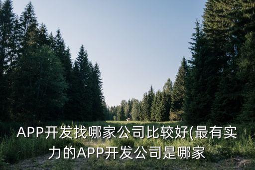 APP開(kāi)發(fā)找哪家公司比較好(最有實(shí)力的APP開(kāi)發(fā)公司是哪家