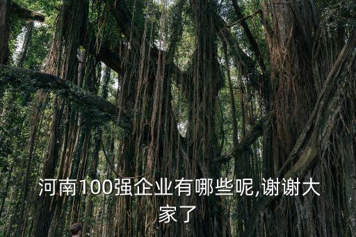 河南黃河實業(yè)集團(tuán)股份有限公司