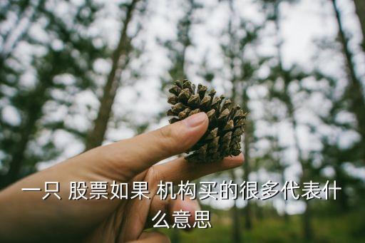一只 股票如果 機(jī)構(gòu)買(mǎi)的很多代表什么意思