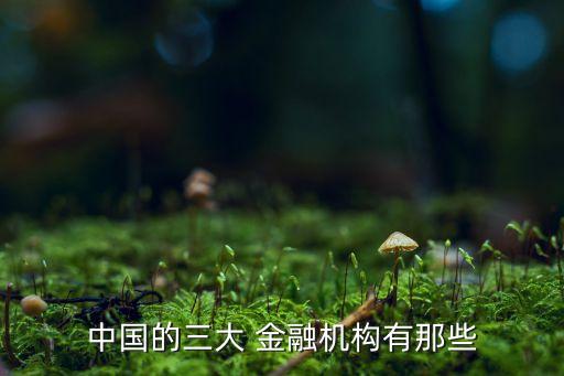 中國的三大 金融機構(gòu)有那些