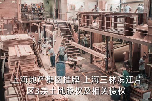  上海地產(chǎn)集團掛牌 上海三林濱江片區(qū)3宗土地股權(quán)及相關(guān)債權(quán)