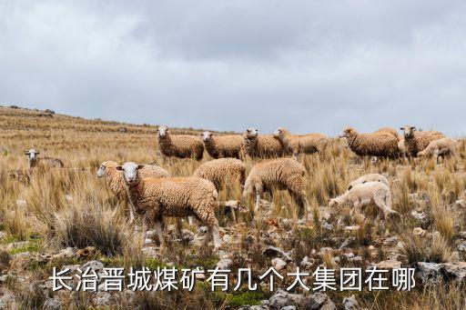 長治晉城煤礦有幾個大集團(tuán)在哪