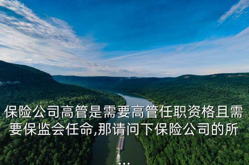 分公司經理可以任高管嗎