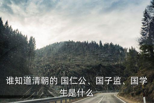 誰知道清朝的 國仁公、國子監(jiān)、國學(xué)生是什么