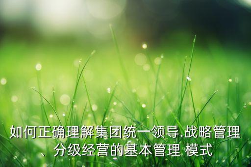 如何正確理解集團(tuán)統(tǒng)一領(lǐng)導(dǎo).戰(zhàn)略管理、分級(jí)經(jīng)營(yíng)的基本管理 模式