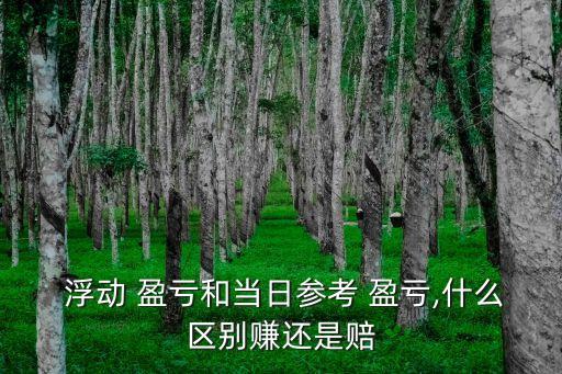  浮動(dòng) 盈虧和當(dāng)日參考 盈虧,什么區(qū)別賺還是賠