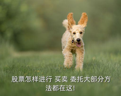  股票怎樣進(jìn)行 買(mǎi)賣(mài) 委托大部分方法都在這!