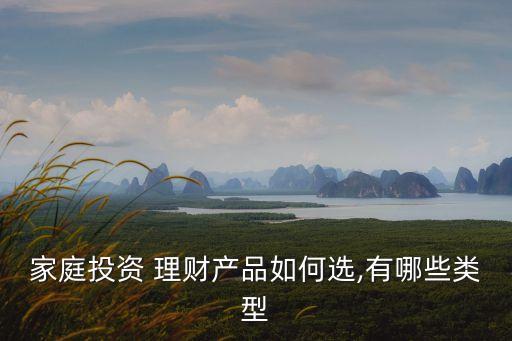 家庭投資 理財產(chǎn)品如何選,有哪些類型