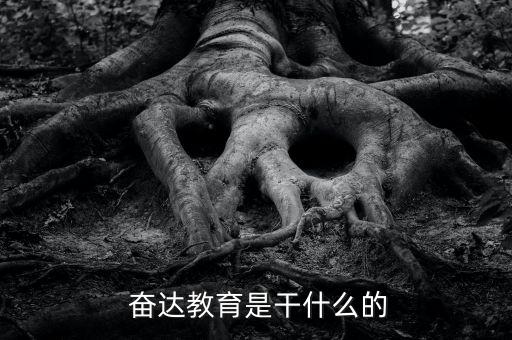  奮達教育是干什么的