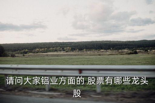 請(qǐng)問(wèn)大家鋁業(yè)方面的 股票有哪些龍頭股