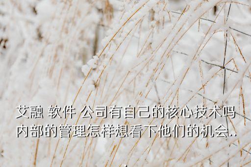 艾融 軟件 公司有自己的核心技術(shù)嗎內(nèi)部的管理怎樣想看下他們的機(jī)會...