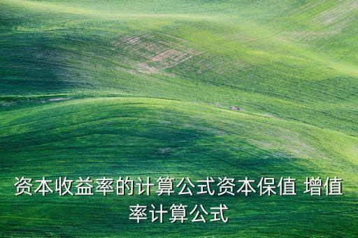 資本收益率的計(jì)算公式資本保值 增值率計(jì)算公式