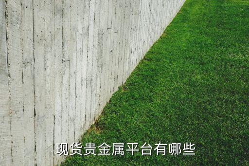  現(xiàn)貨貴金屬平臺(tái)有哪些