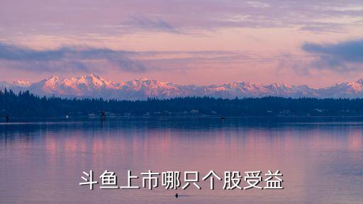 游久時(shí)代上海,上海游久股票