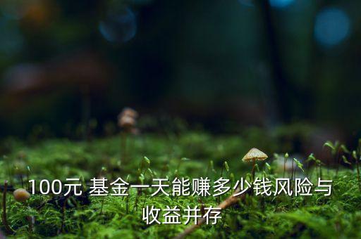 100元 基金一天能賺多少錢(qián)風(fēng)險(xiǎn)與 收益并存