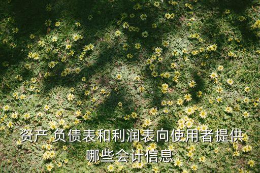  資產(chǎn) 負(fù)債表和利潤表向使用者提供哪些會計(jì)信息