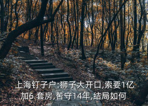  上海釘子戶:獅子大開口,索要1億加6 套房,苦守14年,結(jié)局如何