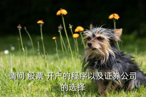 請問 股票 開戶的程序以及證券公司的選擇