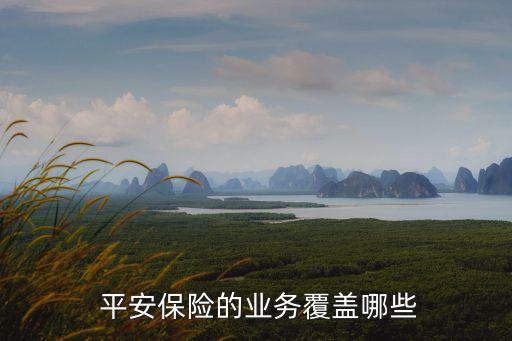  平安保險的業(yè)務(wù)覆蓋哪些