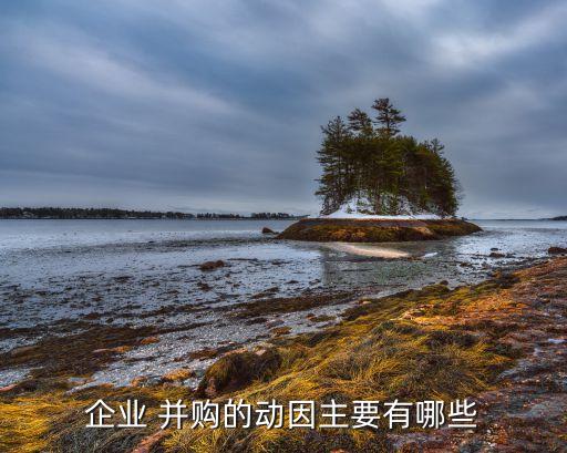 中國(guó)并購市場(chǎng)機(jī)會(huì),中國(guó)市場(chǎng)機(jī)會(huì)分析