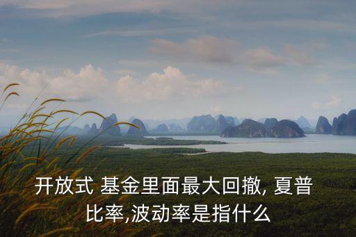 開(kāi)放式 基金里面最大回撤, 夏普 比率,波動(dòng)率是指什么