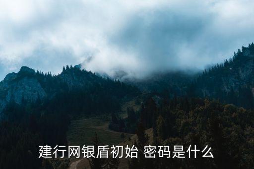 建行網銀盾初始 密碼是什么