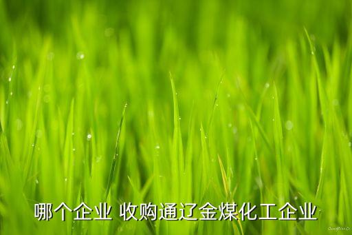哪個企業(yè) 收購?fù)ㄟ|金煤化工企業(yè)
