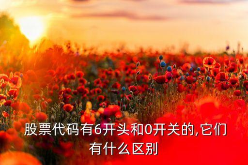  股票代碼有6開頭和0開關的,它們有什么區(qū)別