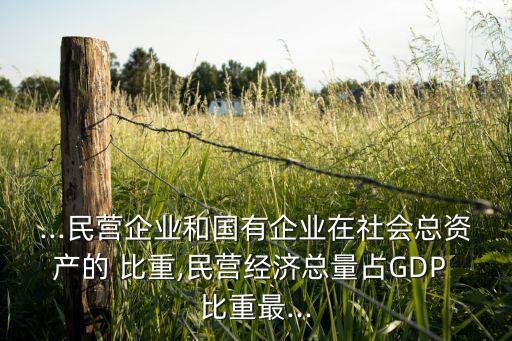 ...民營企業(yè)和國有企業(yè)在社會總資產(chǎn)的 比重,民營經(jīng)濟總量占GDP 比重最...